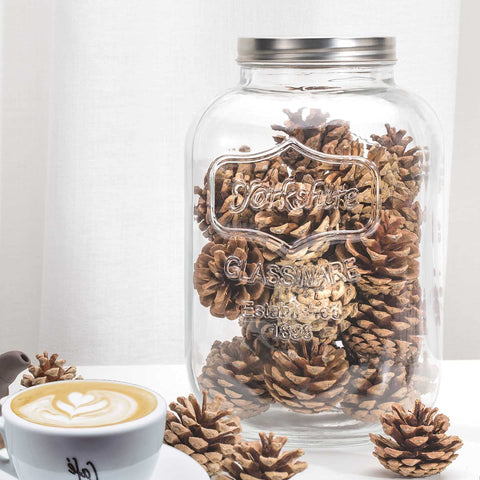 CATPOWER cookie-filled jar on kitchen counter for quick serving benefit
