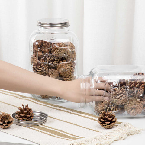 CATPOWER jar filled with flour demonstrating bulk storage convenience