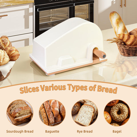 CAWIU evenly cut slices displayed with ruler for consistent size comparison