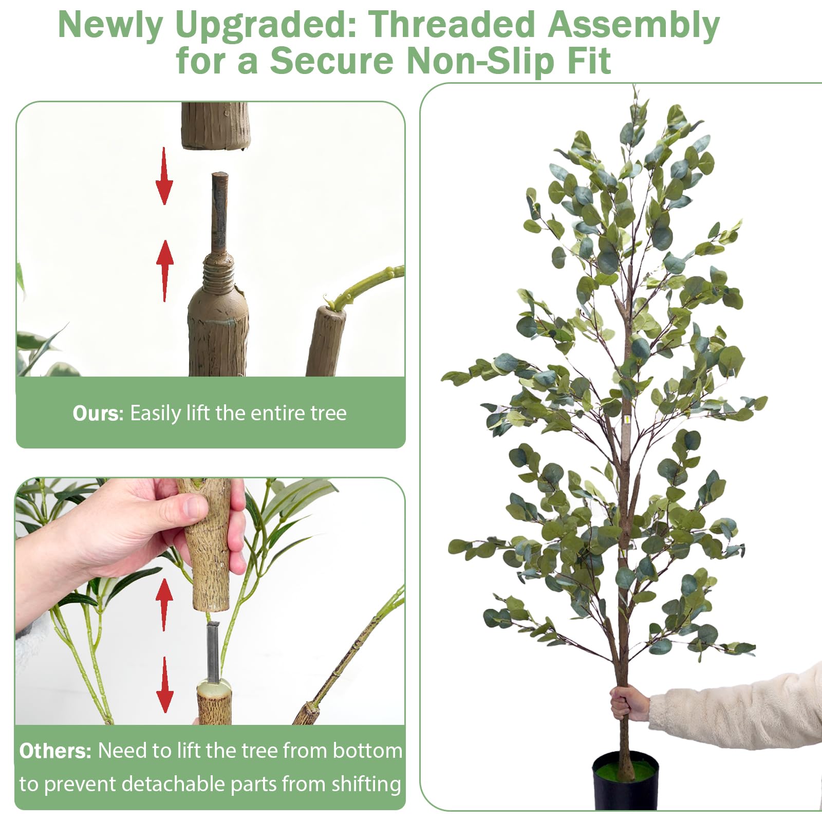 caxchiling tree placed in included black planter for ready-to-display benefit
