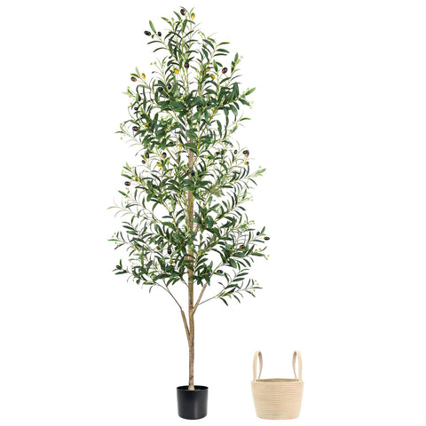Caxchiling front view showing full six-foot faux olive tree for bold decor