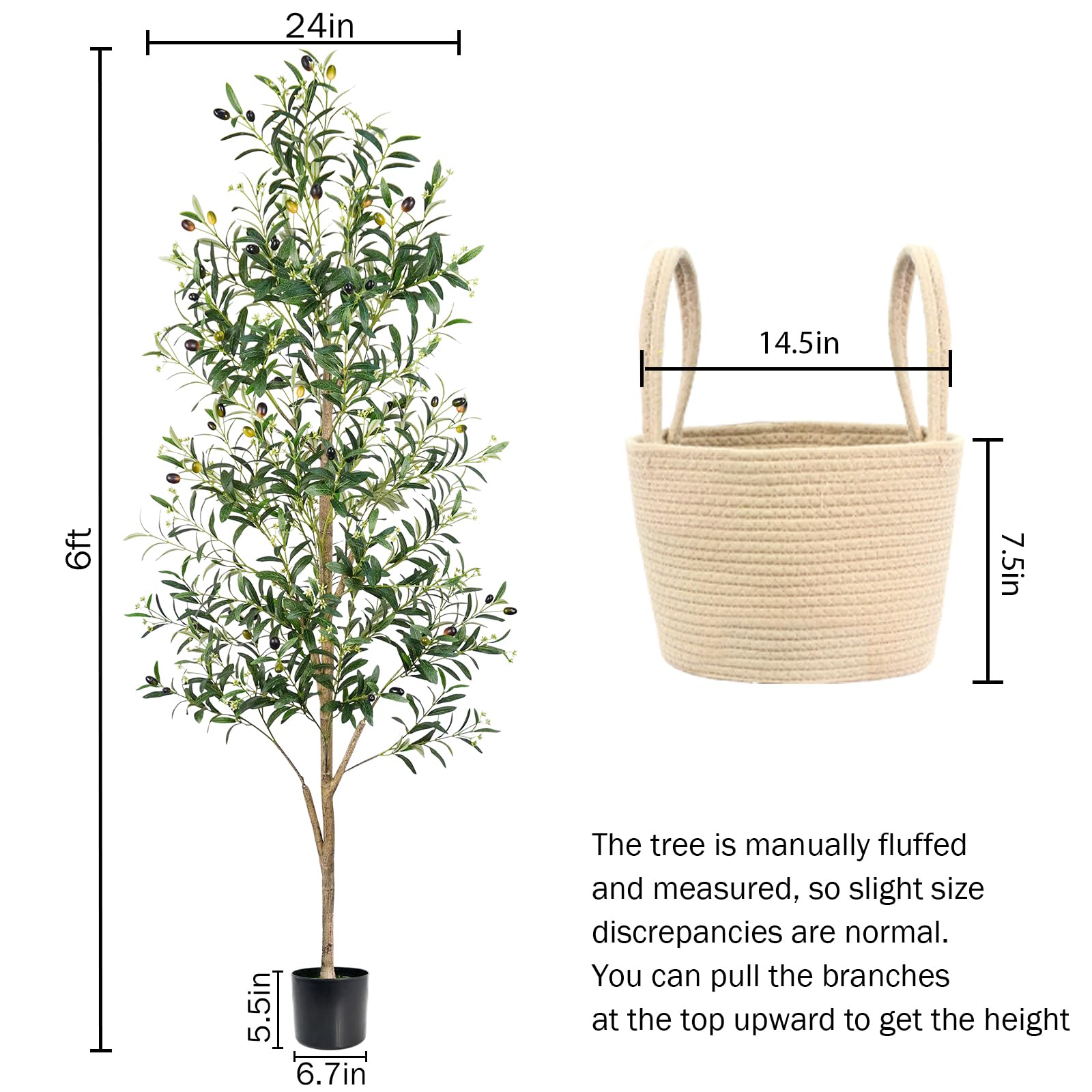 Caxchiling tree styled in living room adding height and green ambiance