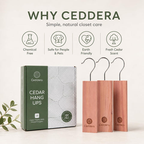 Close-up of Ceddera cedar wood grain highlighting natural oils and durability