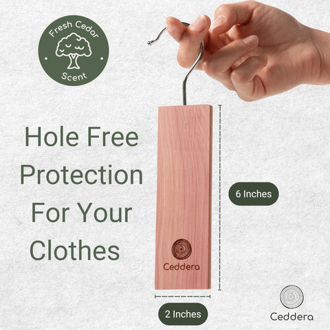 Ceddera lifestyle closet display demonstrating organized, naturally protected wardrobe