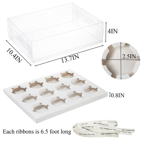 Cedilis cardboard inserts close-up showing cavity detail and secure fit