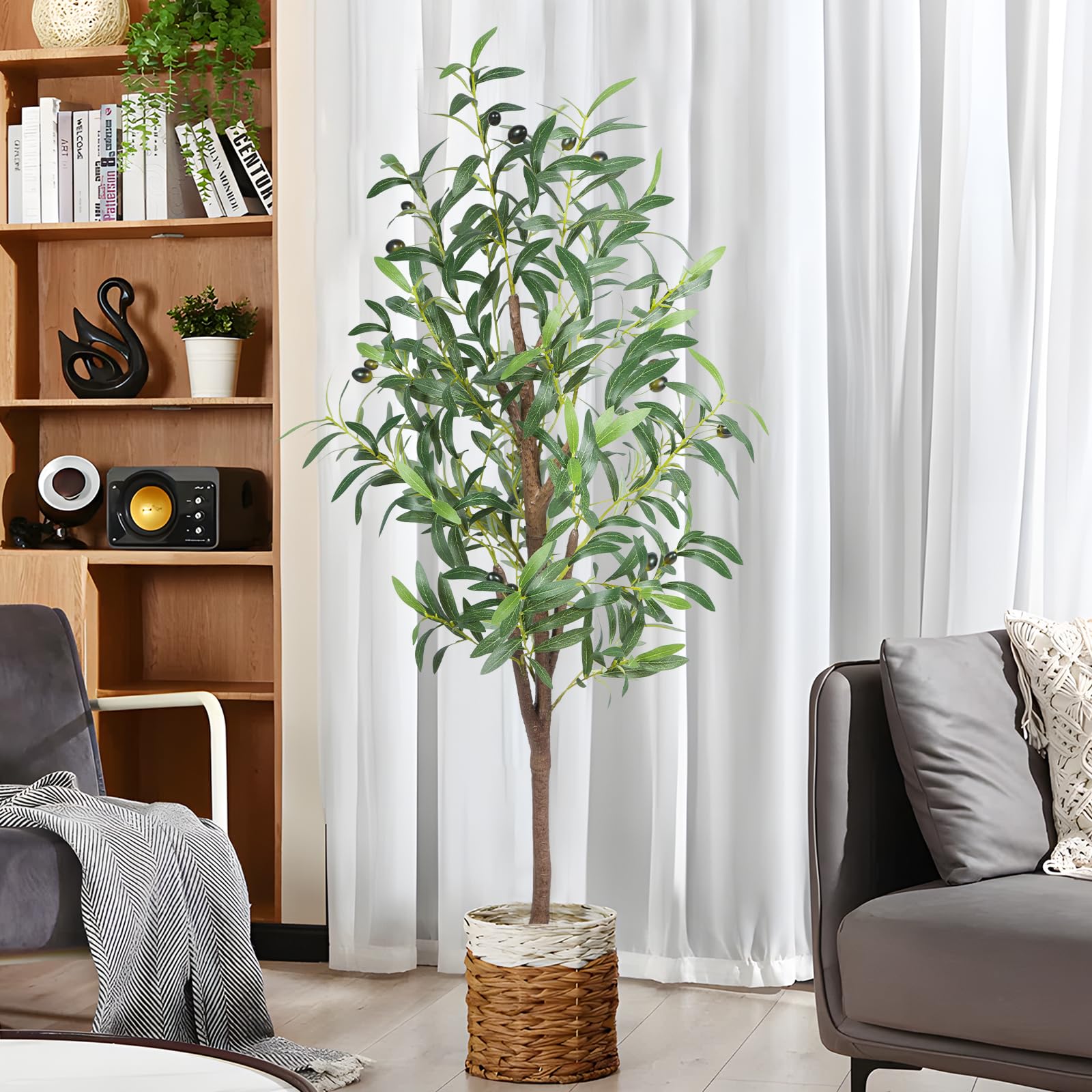 CETRD placed in bedroom corner providing low-maintenance decorative greenery