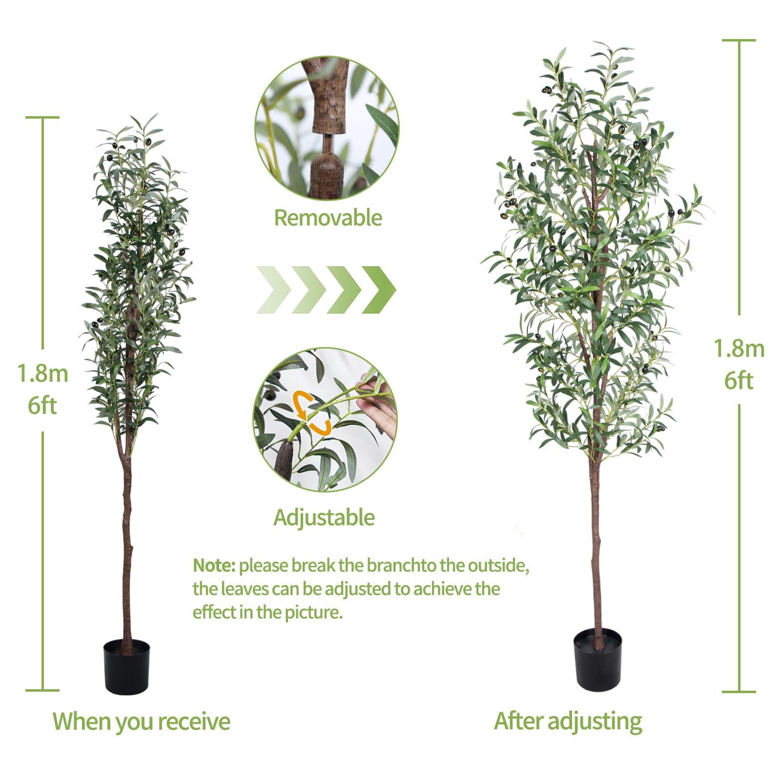 CETRD olive tree styled in a modern living room adding instant greenery and ambiance