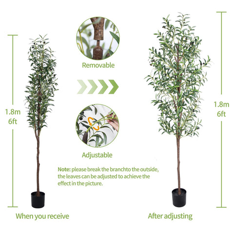 CETRD olive tree styled in a modern living room adding instant greenery and ambiance