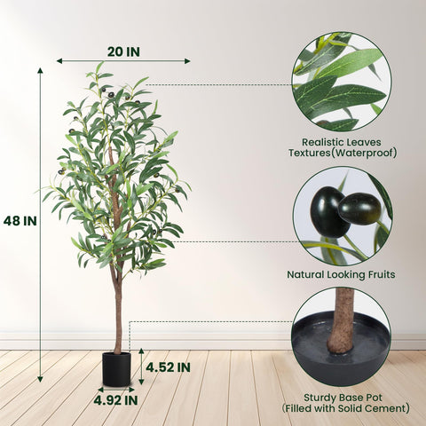 CETRD tree in planter demonstrating compact footprint and stable base