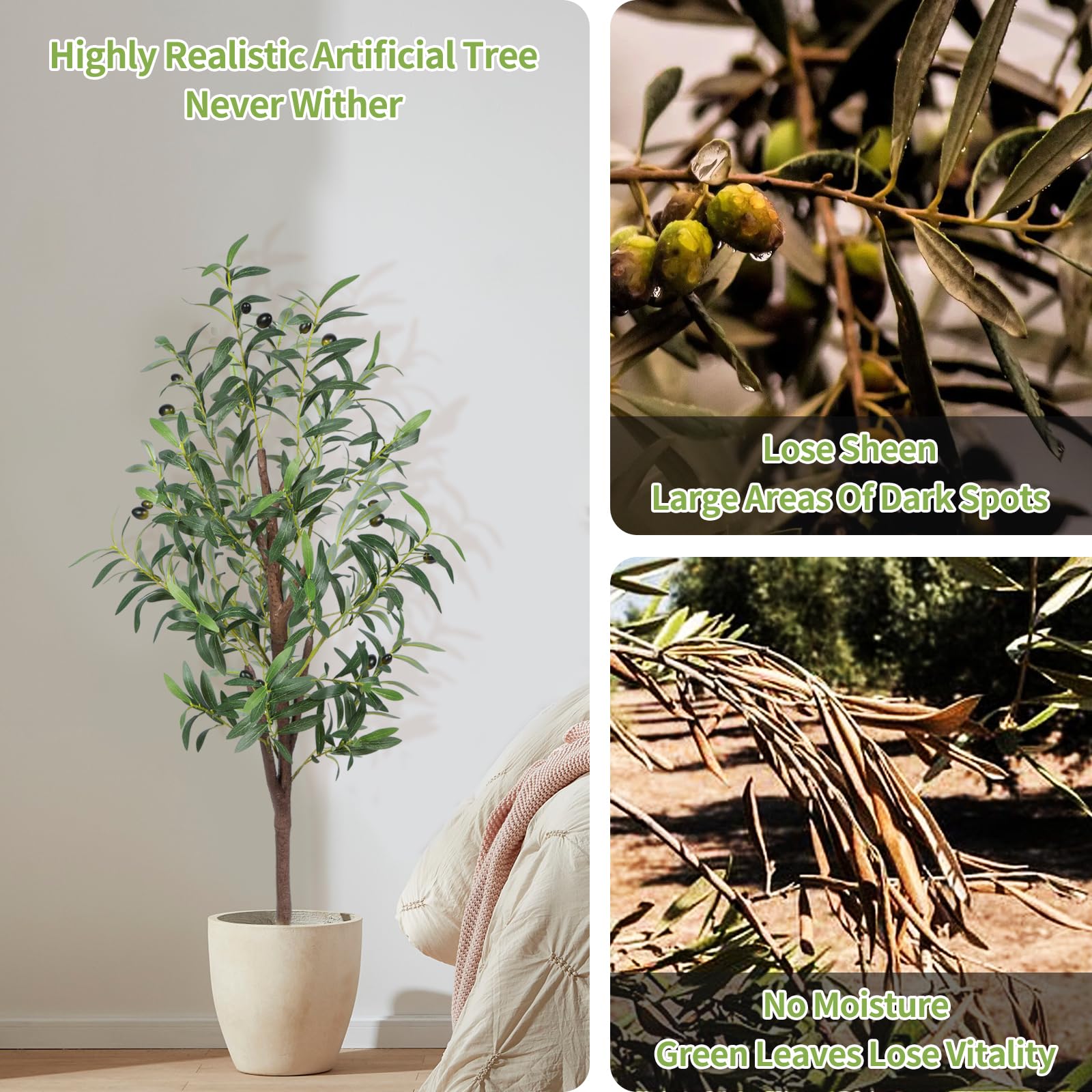 CETRD on a table styled for office decor adding instant green atmosphere