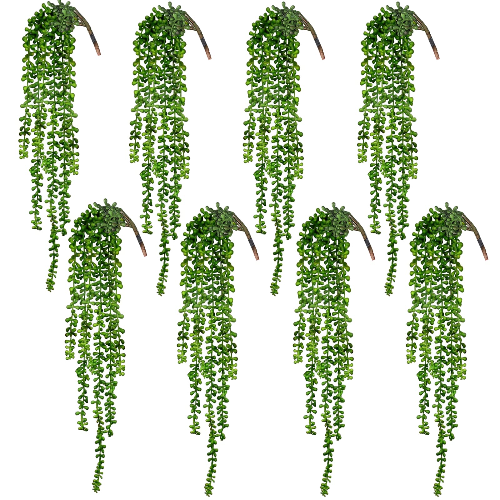 CEWOR front view of 8-piece hanging succulents showing packaging and value