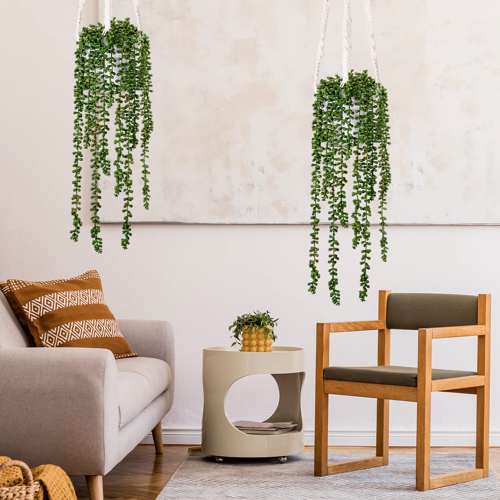 CEWOR styled on shelf adding green accent and low-maintenance decor