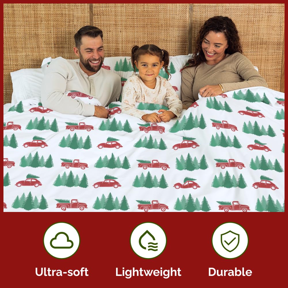 CGK Unlimited pillow shams displayed and adding coordinated seasonal comfort