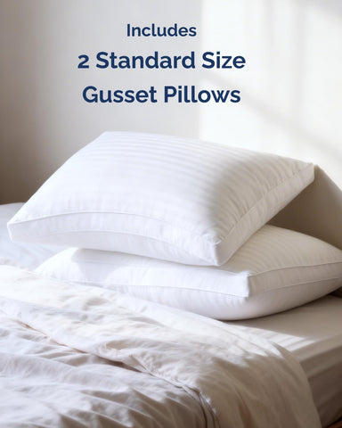 CGK Unlimited pillow held in hands to show actual 20x26 size and plush softness
