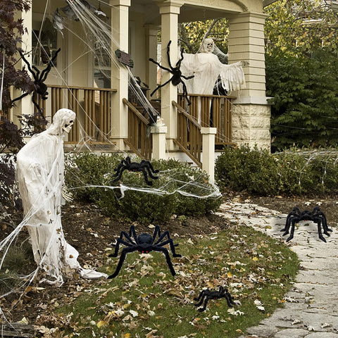 CH HAICHENG spider perched in window adding haunted atmosphere indoors