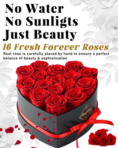 Changshunqi open box overhead displaying 16 arranged preserved roses ready to gift