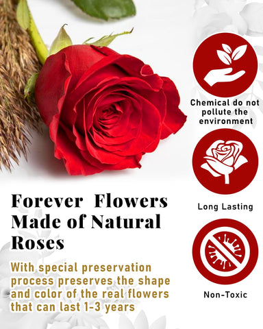 Changshunqi rose petal close-up showing preserved texture and natural-looking beauty