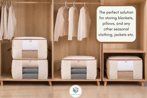 Chaos Cleared bags arranged in a closet showcasing neat seasonal organization and easy access benefit