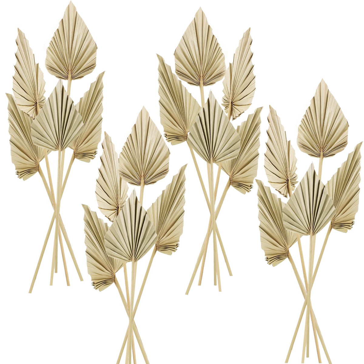 Chenkaiyang bundled palm spears front view showing quantity and boho look