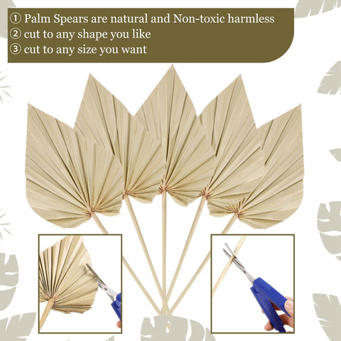 Chenkaiyang palm spears in vase adding height and rustic warmth