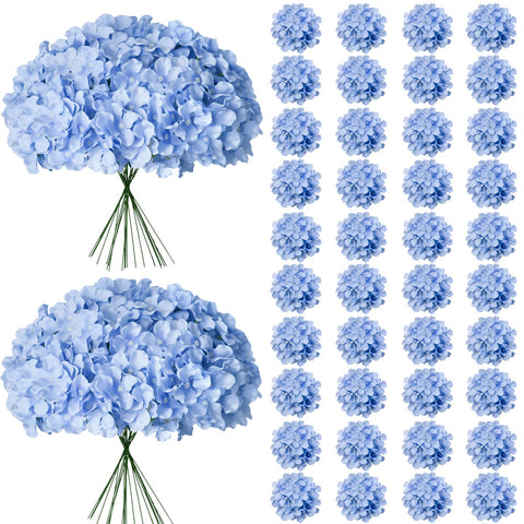 Cherica front packaging showing bulk blue hydrangea set benefit of value