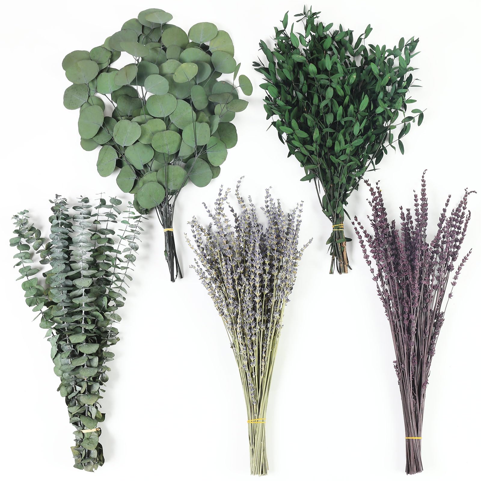 Chflost front packaging showing abundant stems and ready-to-use benefit