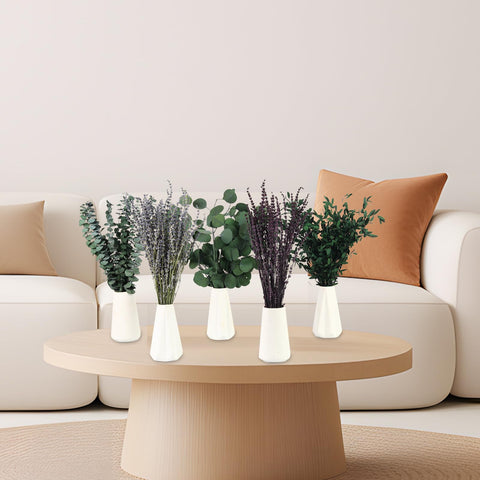 Chflost styled on kitchen shelf providing natural accent without upkeep