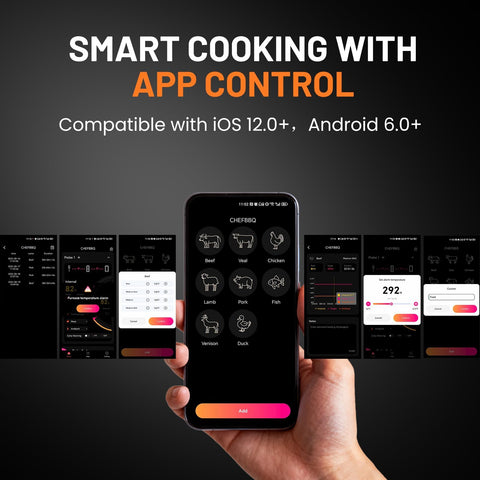 Chihod CHFBBQ app screenshot with temperature graph for real-time tracking