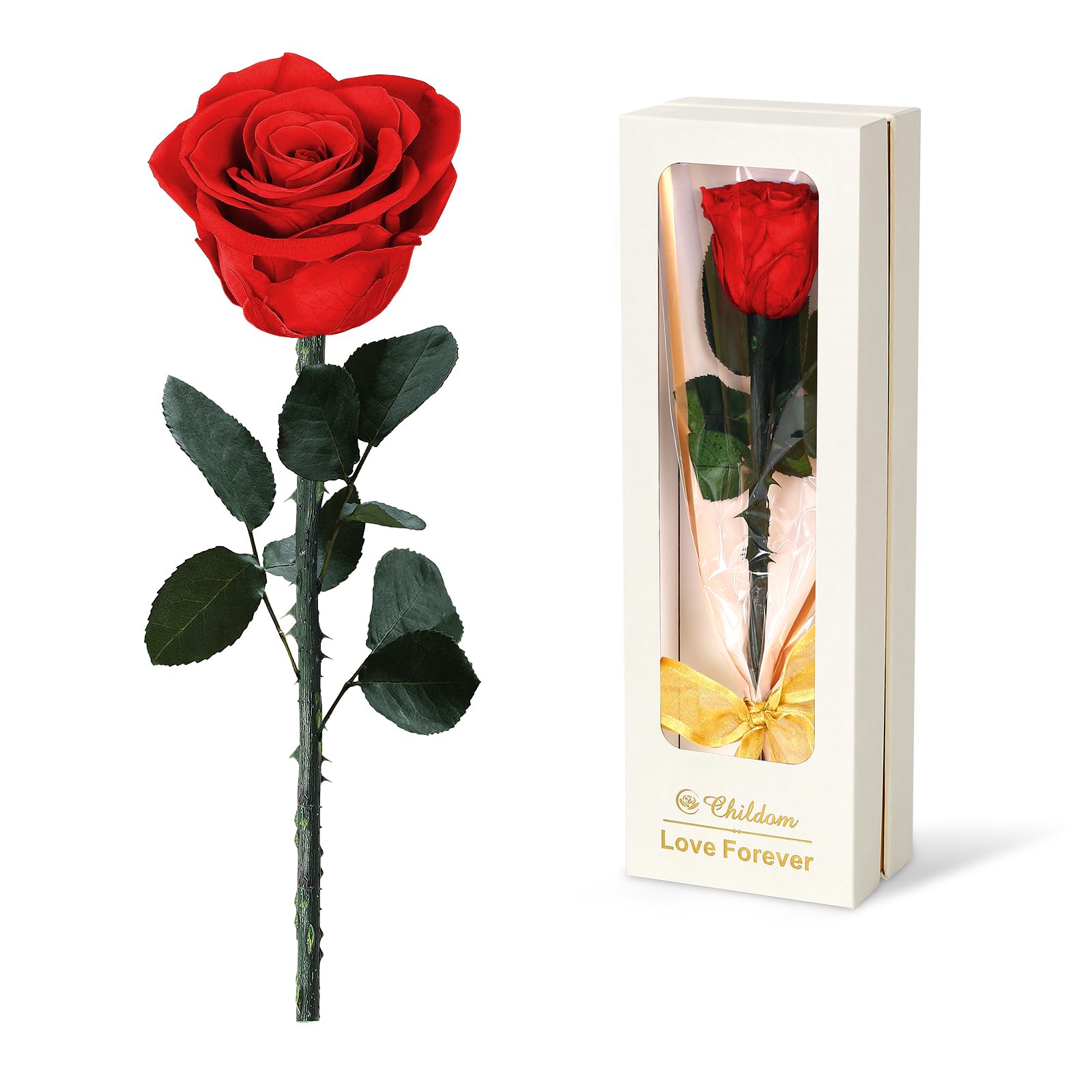 Childom preserved rose in clear-front gift box showing elegant presentation and ease