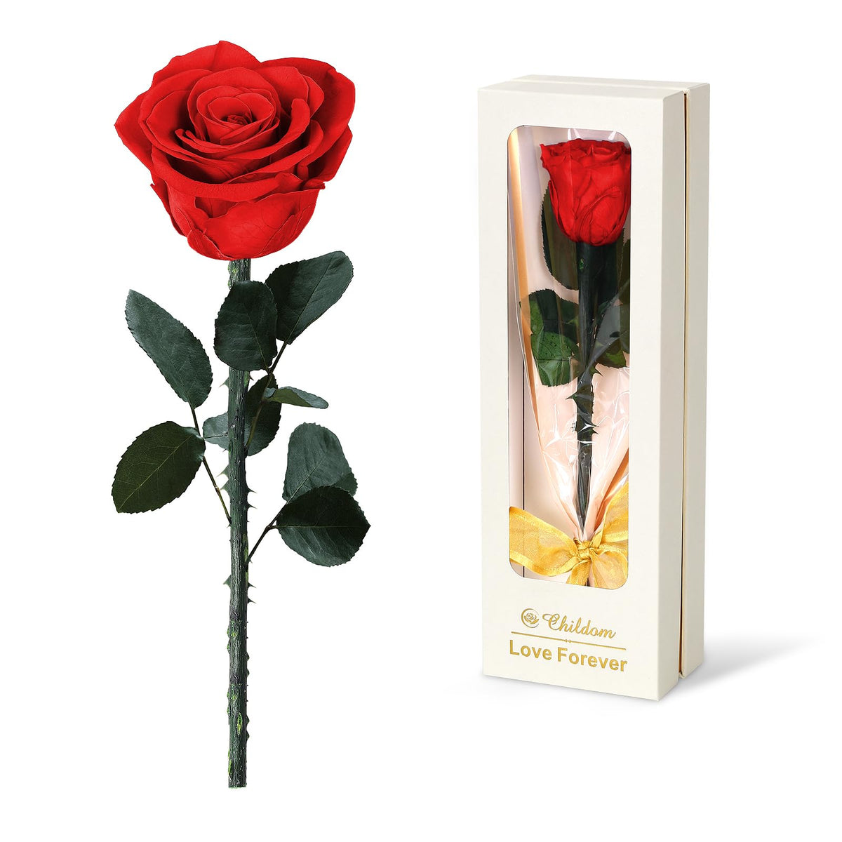 Childom preserved rose in clear-front gift box showing elegant presentation and ease