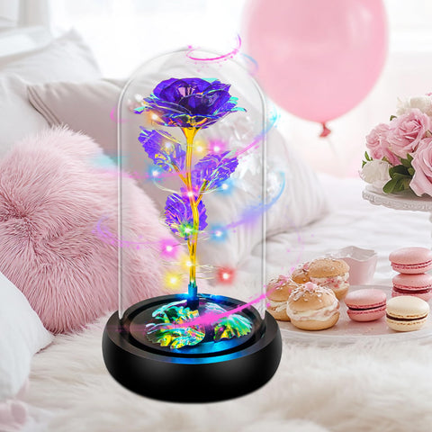 Childom glossy dome reflection highlighting dust-resistant protective glass