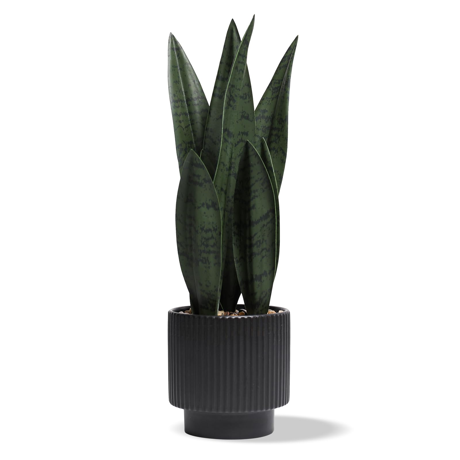 Chonsun snake plant front view showing lifelike leaves and clean silhouette