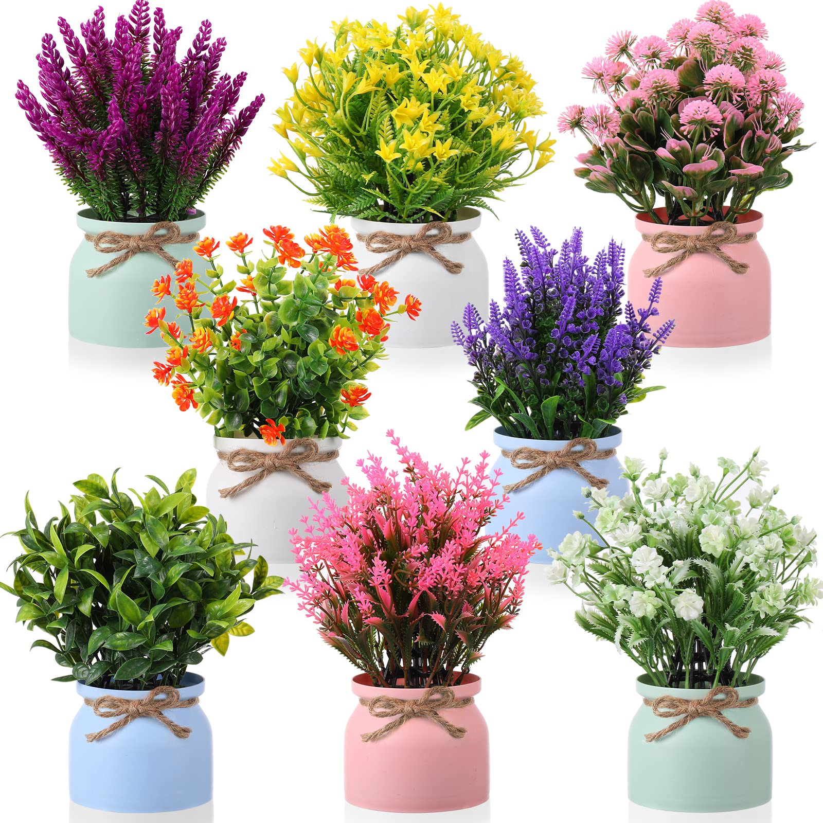 Cindeer front view of potted flowers showing full set and color variety benefits