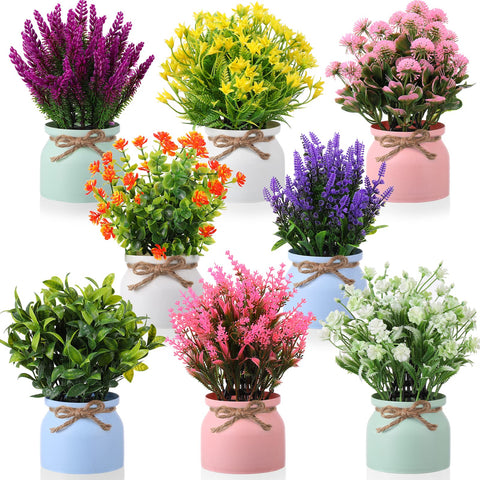 Cindeer front view of potted flowers showing full set and color variety benefits