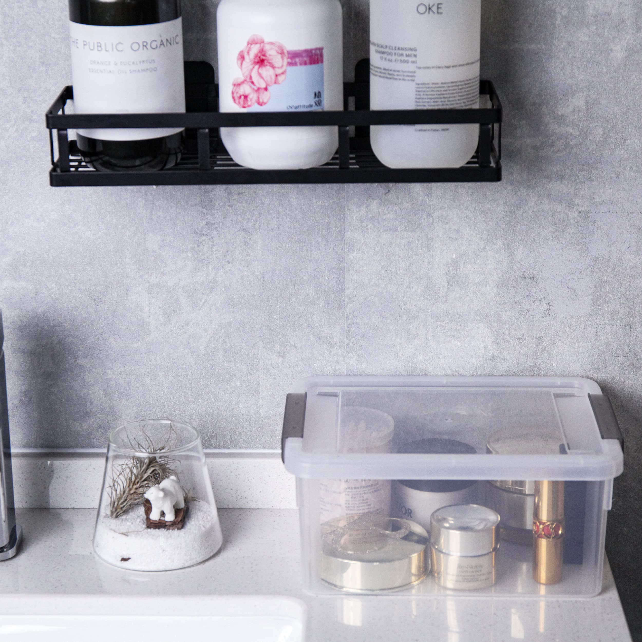 Citylife boxes on a kitchen shelf showing pantry organization and clutter reduction