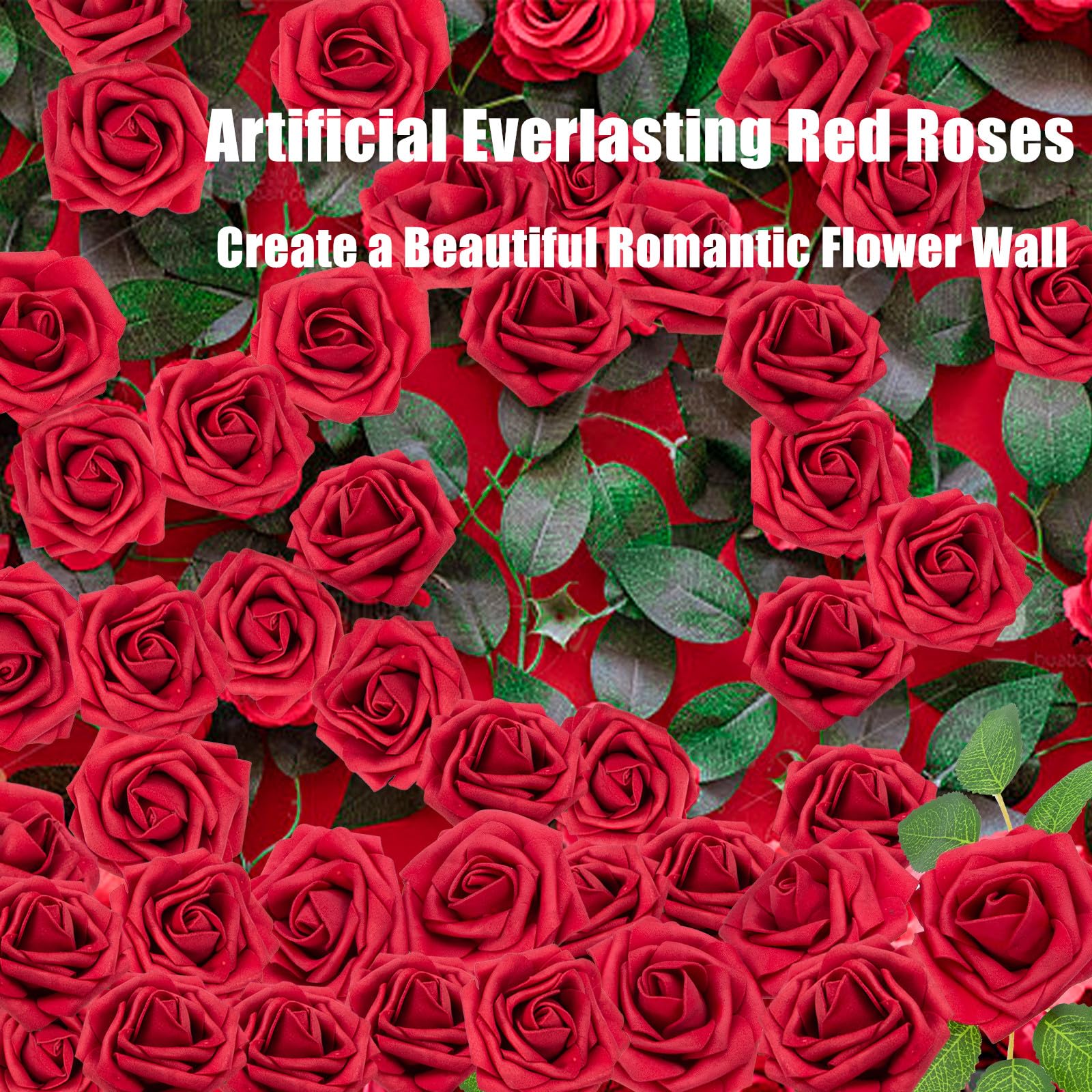 Cliselda roses beside ruler showing scale and consistent sizing advantage