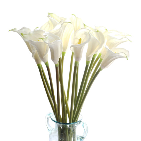 cn-Knight front packaging showing ten boxed calla lily stems and clear presentation benefit