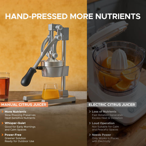 CO-Z suction base mounted on countertop for stable, no-slip operation