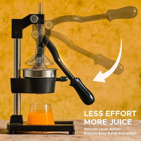 CO-Z suction base detail showing non-slip stability for safe countertop use benefit