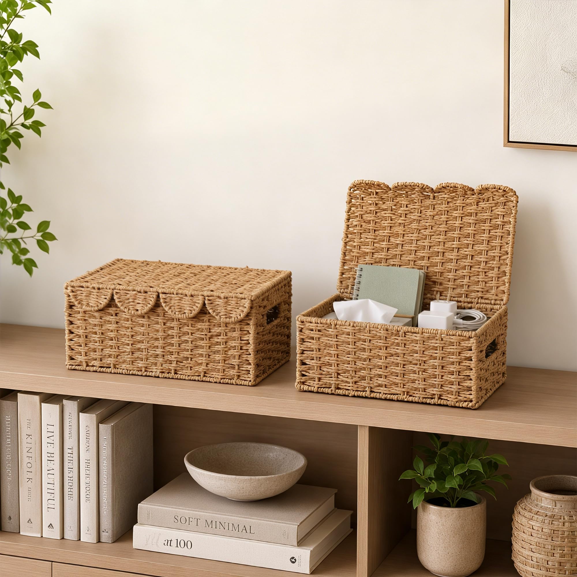 Coeusy baskets styled on shelf offering organized decorative storage