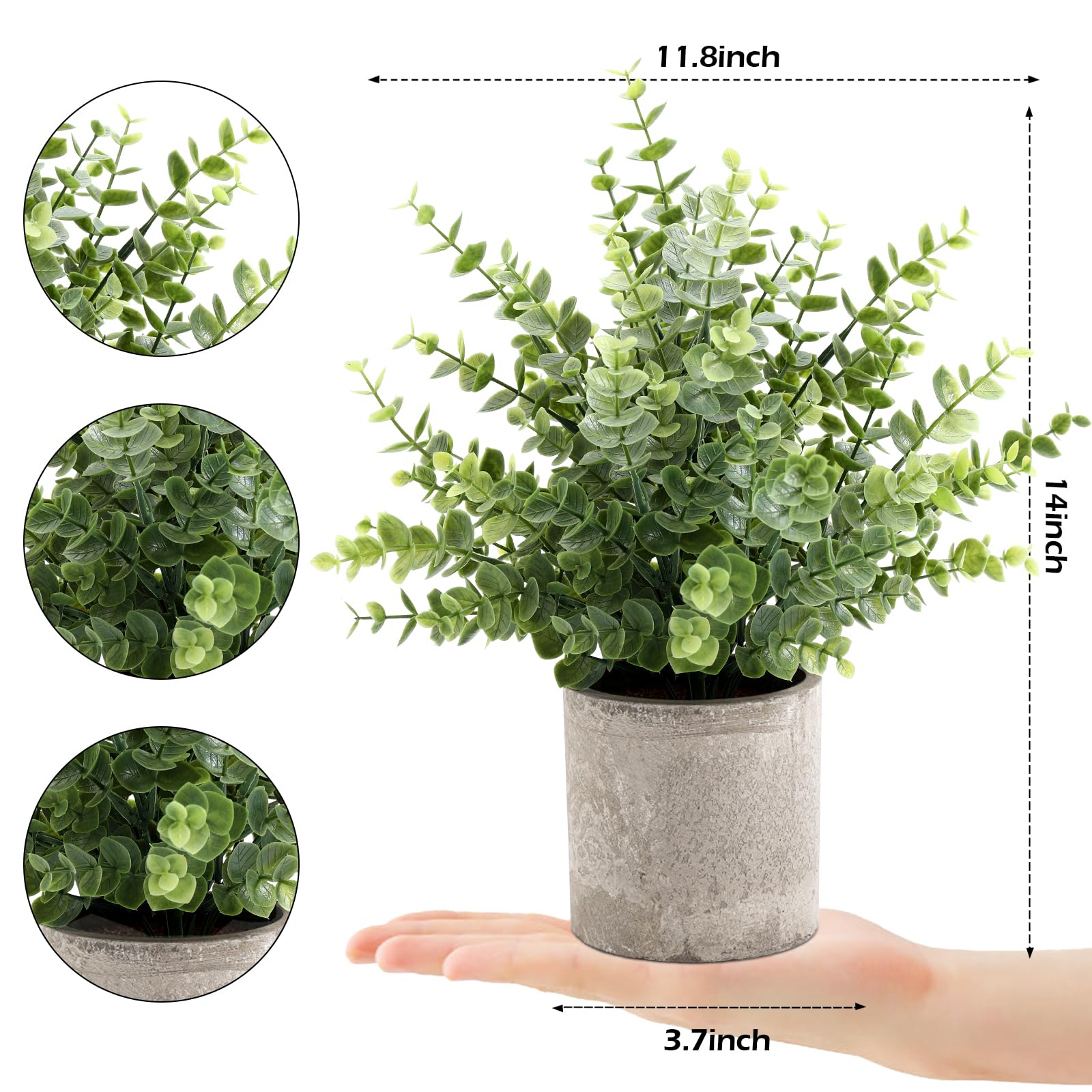 Coferset eucalyptus on bathroom vanity bringing calming greenery without water care