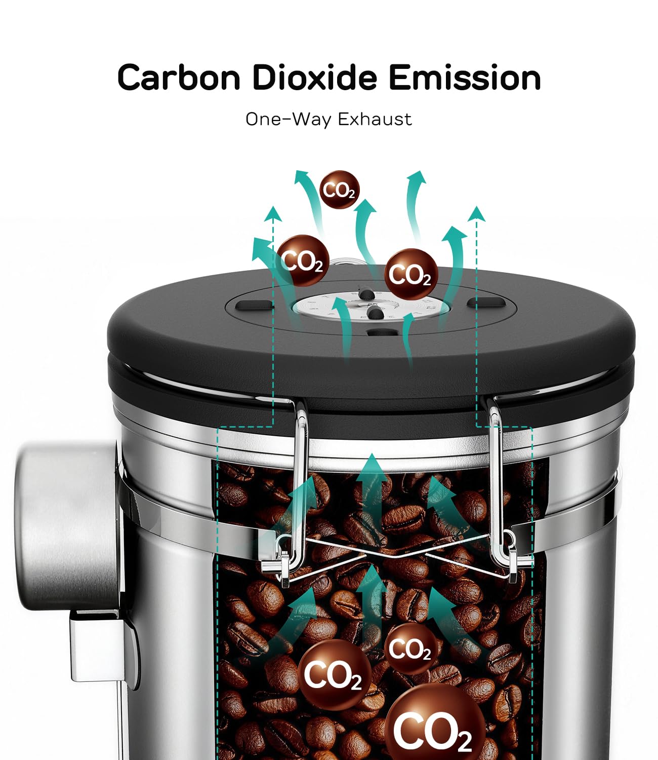 Coffee Gator open canister filled with whole beans demonstrating ready-to-brew storage