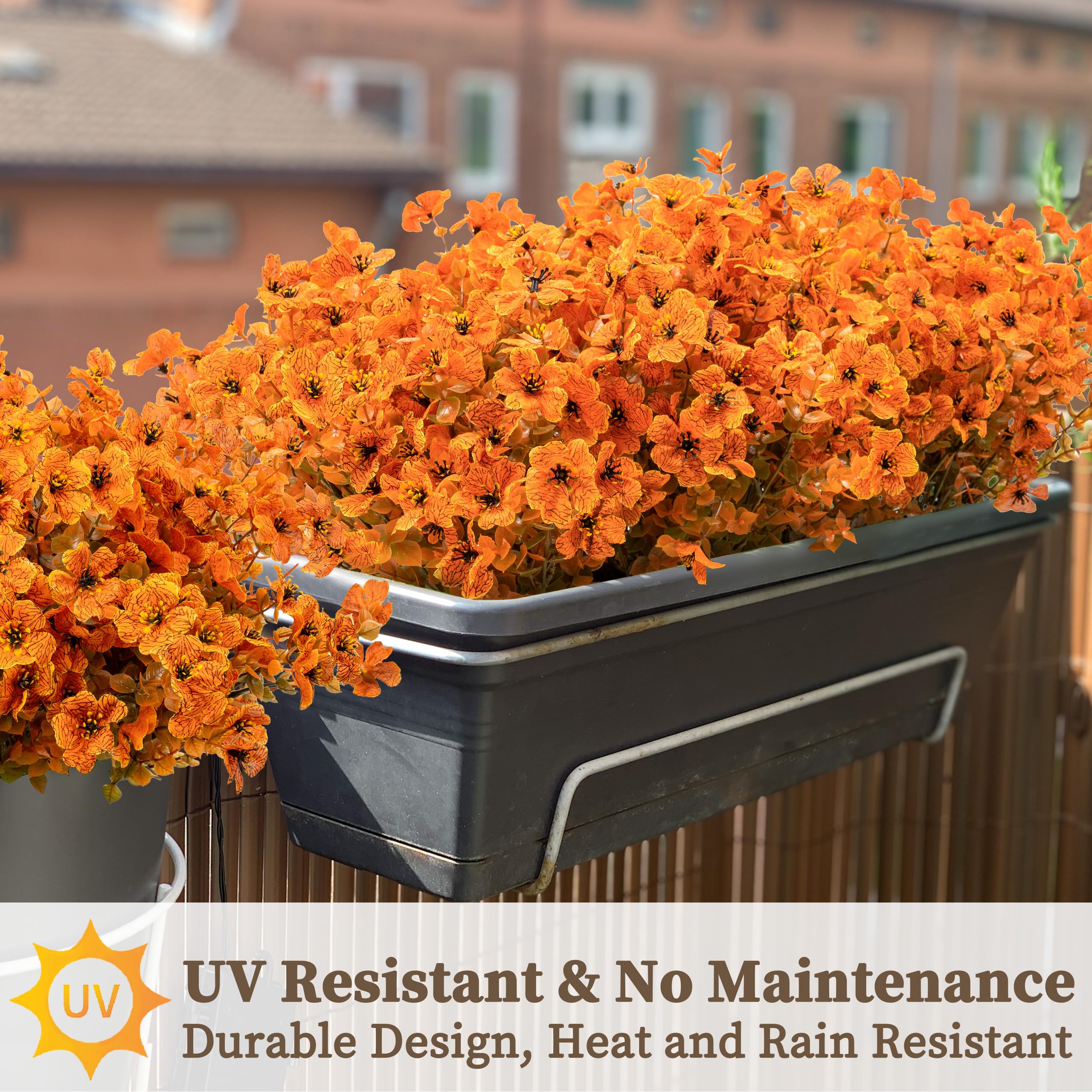 ColoPlay bouquet in hanging planter giving vibrant porch curb appeal