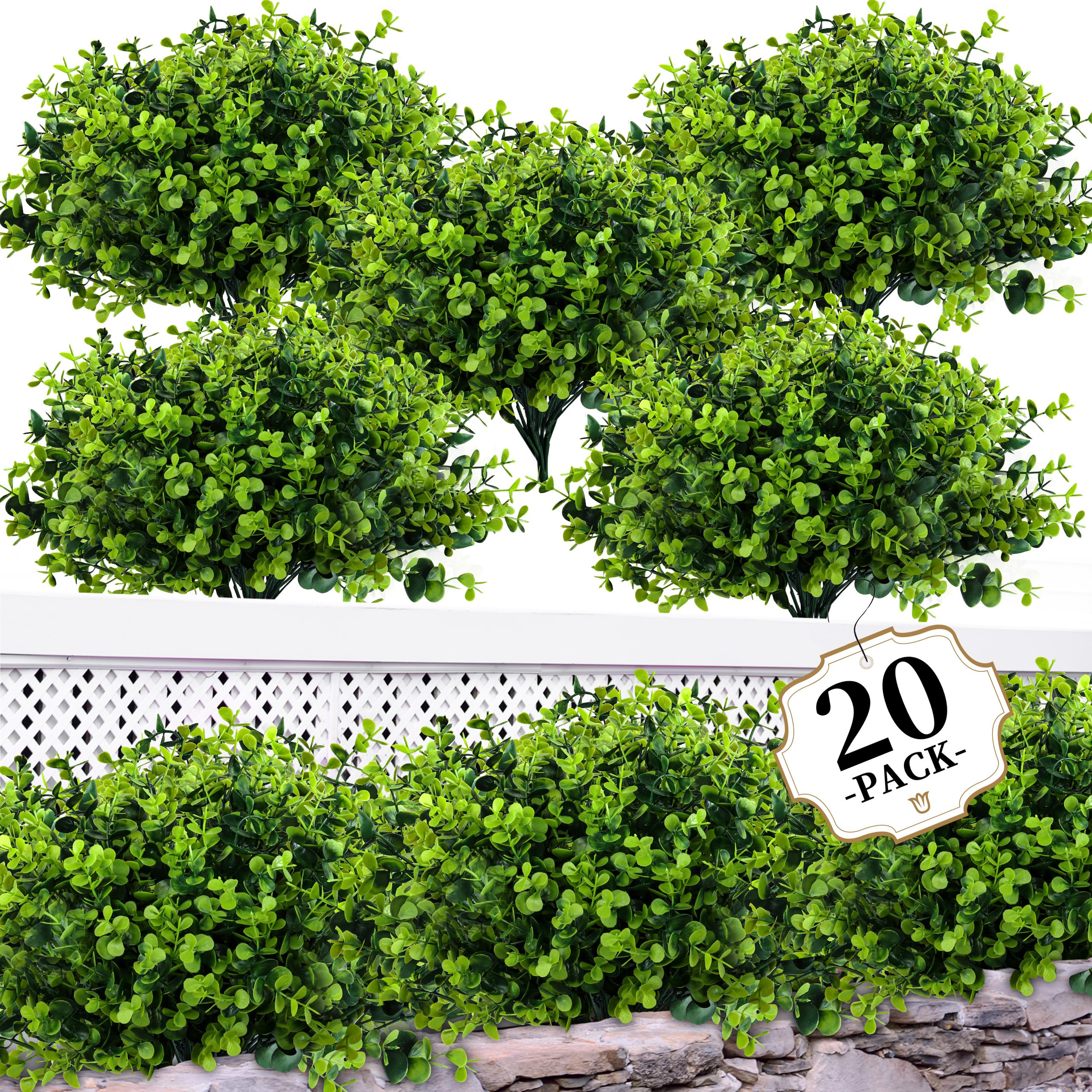ColoPlay front view of 20 boxwood bundles showing value and full coverage