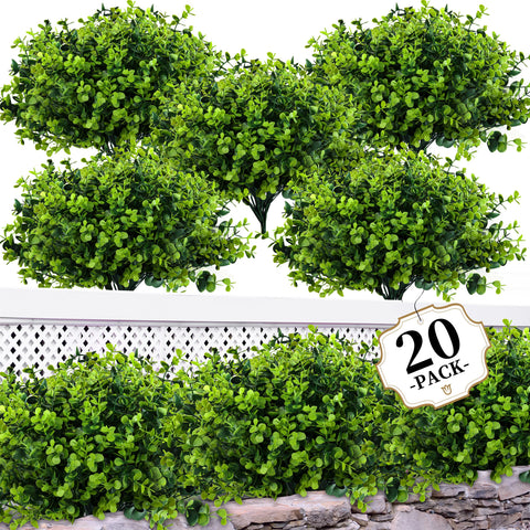 ColoPlay front view of 20 boxwood bundles showing value and full coverage