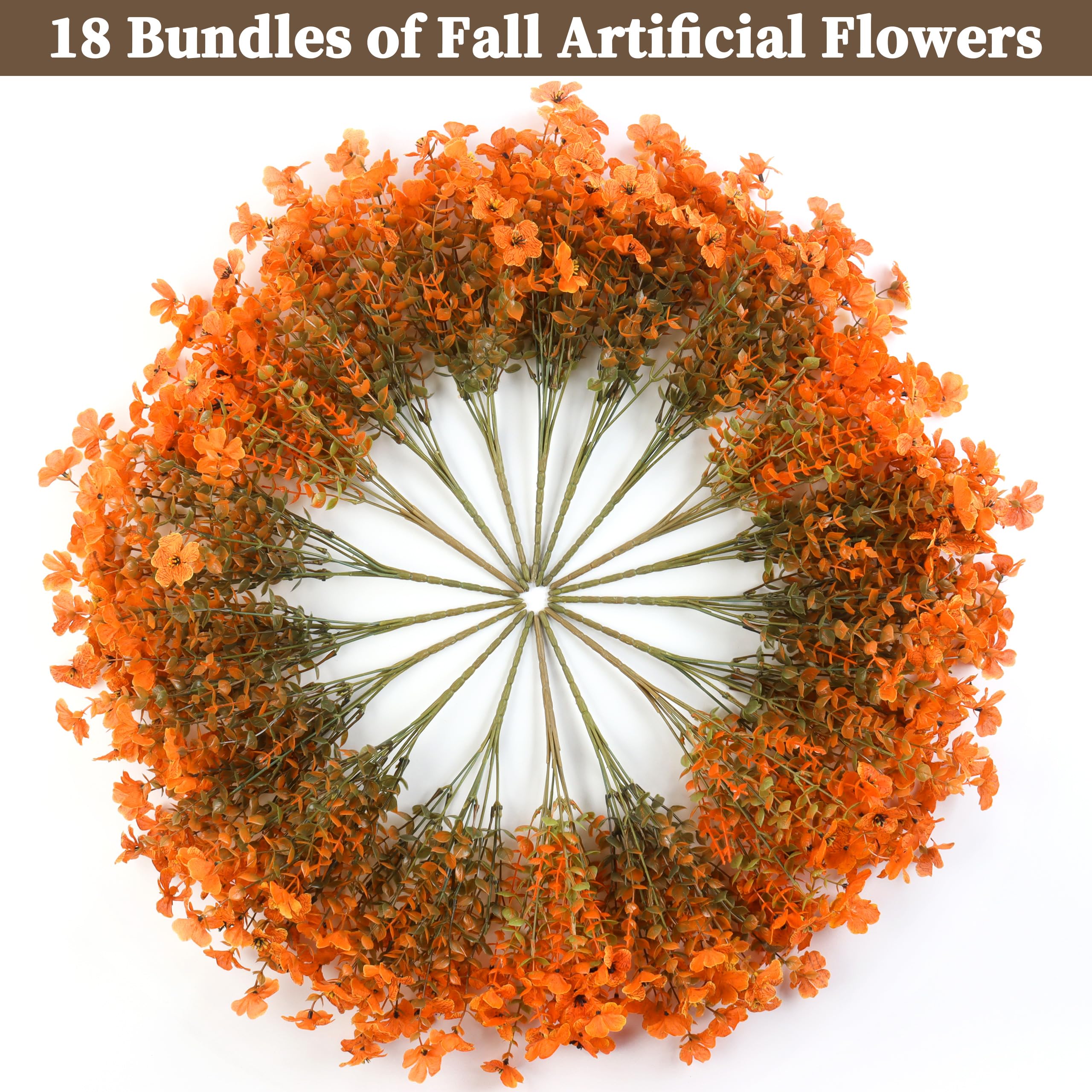 ColoPlay close-up of petal texture highlighting realistic lifelike look