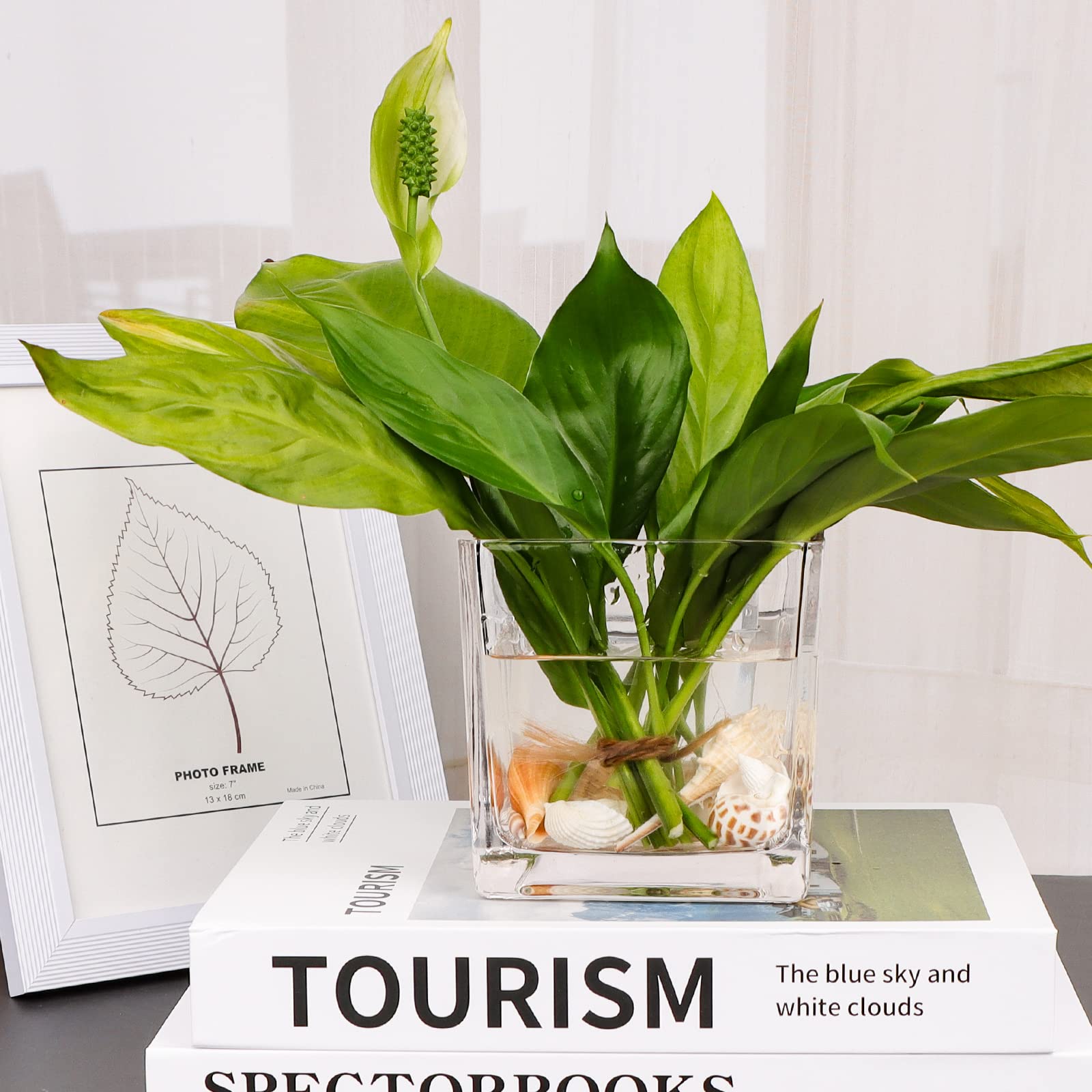 Comrzor floral arrangement in cube vase demonstrating compact centerpiece impact