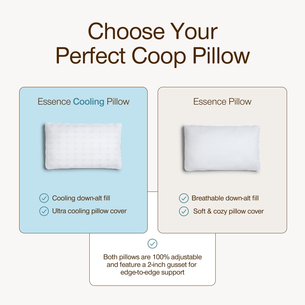 Coop Home Goods styled guest room scene showing hotel-quality comfort