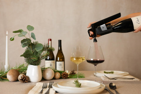 CORAVIN full 14-piece kit in carrying case showing portability and organized storage benefits