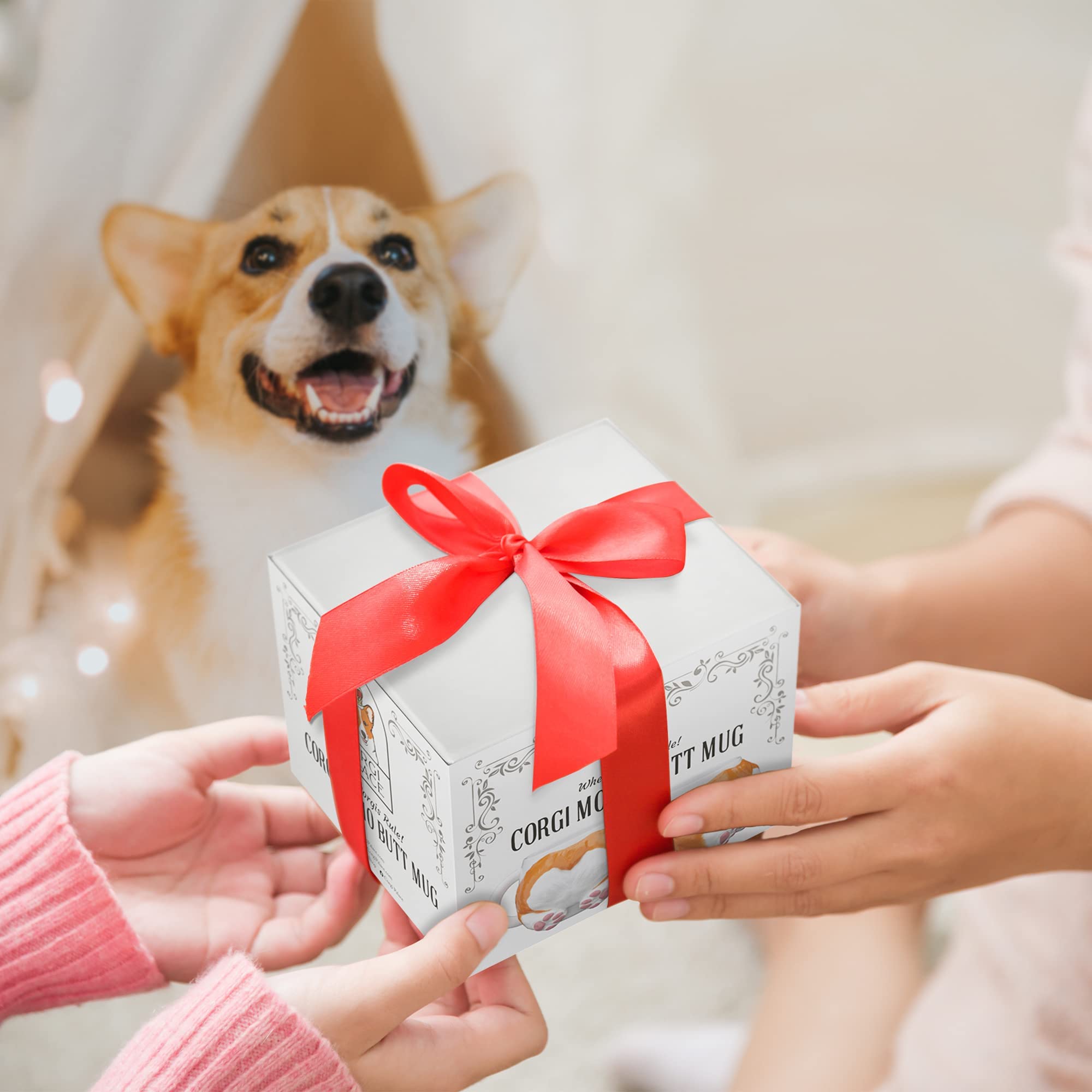 Corgi Palace gift box packaging ready for gifting and presentation